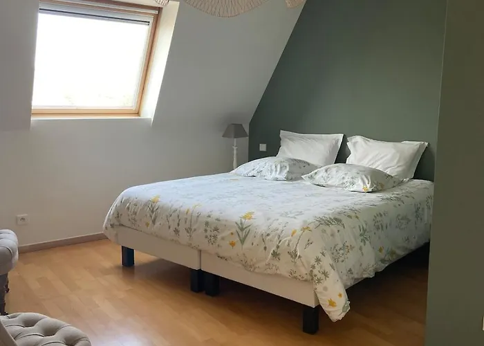 Apartament Magnifique A 100 M De La *