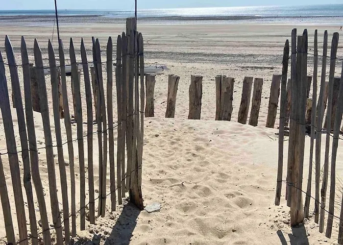 Magnifique A 100 M De La